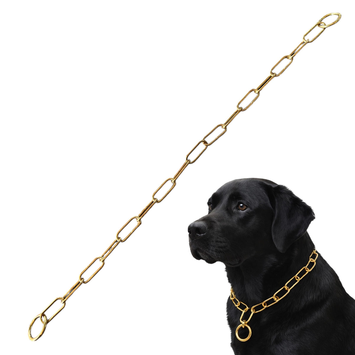 100% Pure Brass Choke Chain for Dogs – Premium Quality with Strong, Durable Links – Available in 18" & 22" Sizes