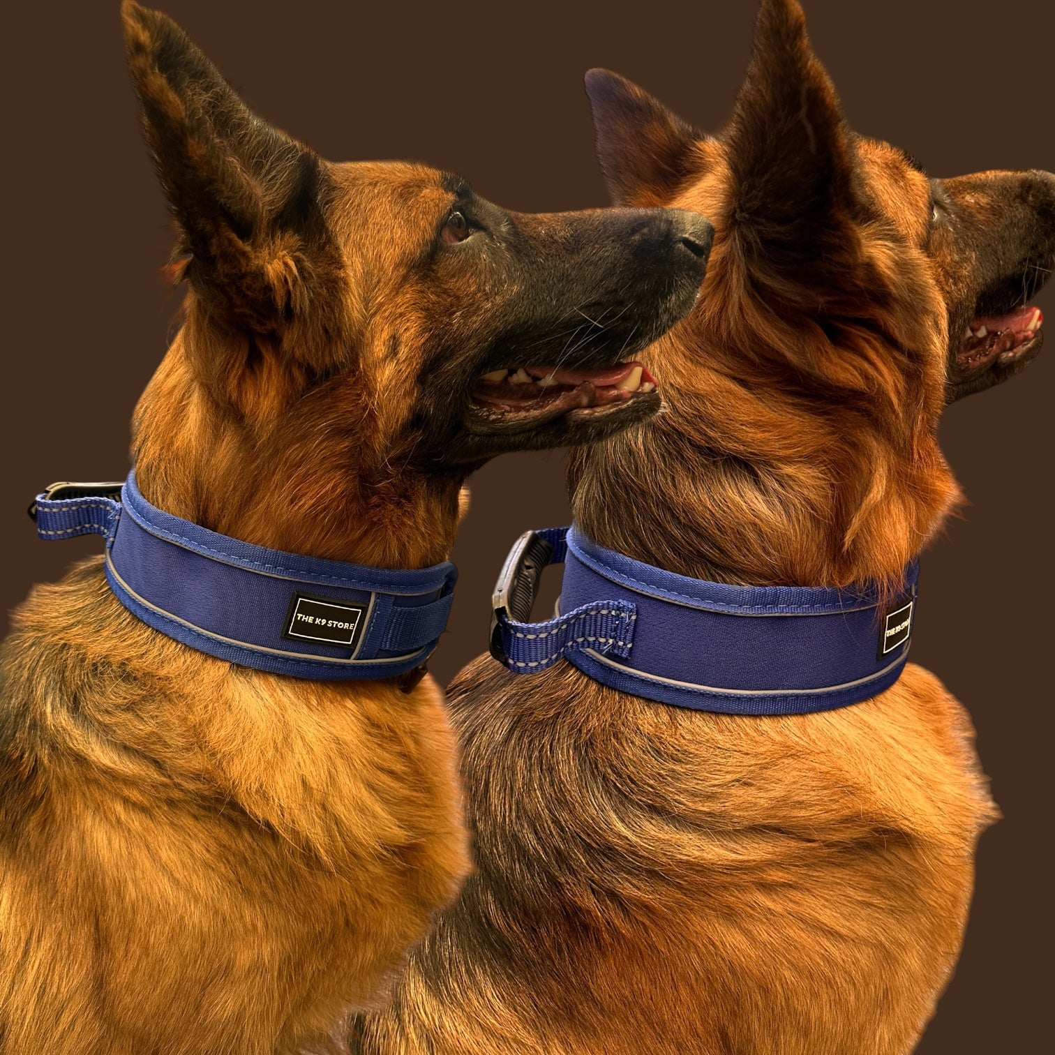 K9 Handle Mesh Dog Collar | Breathable Padded | Reflective Nylon | Handle Grip | Anti-Lock Buckle | Heavy D-Ring | Black, Blue & Red | S, M, L, XL | The K9 Store
