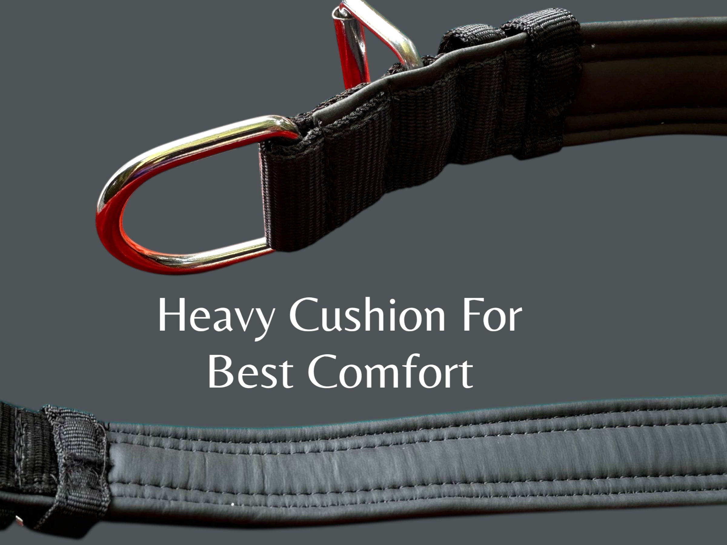 All-Weather Proof Dog Collar & Leash Combo Set | Padded PP Collar | 56 Inch Cushioned Leash | Fits 18-26 Inch Neck | Black
