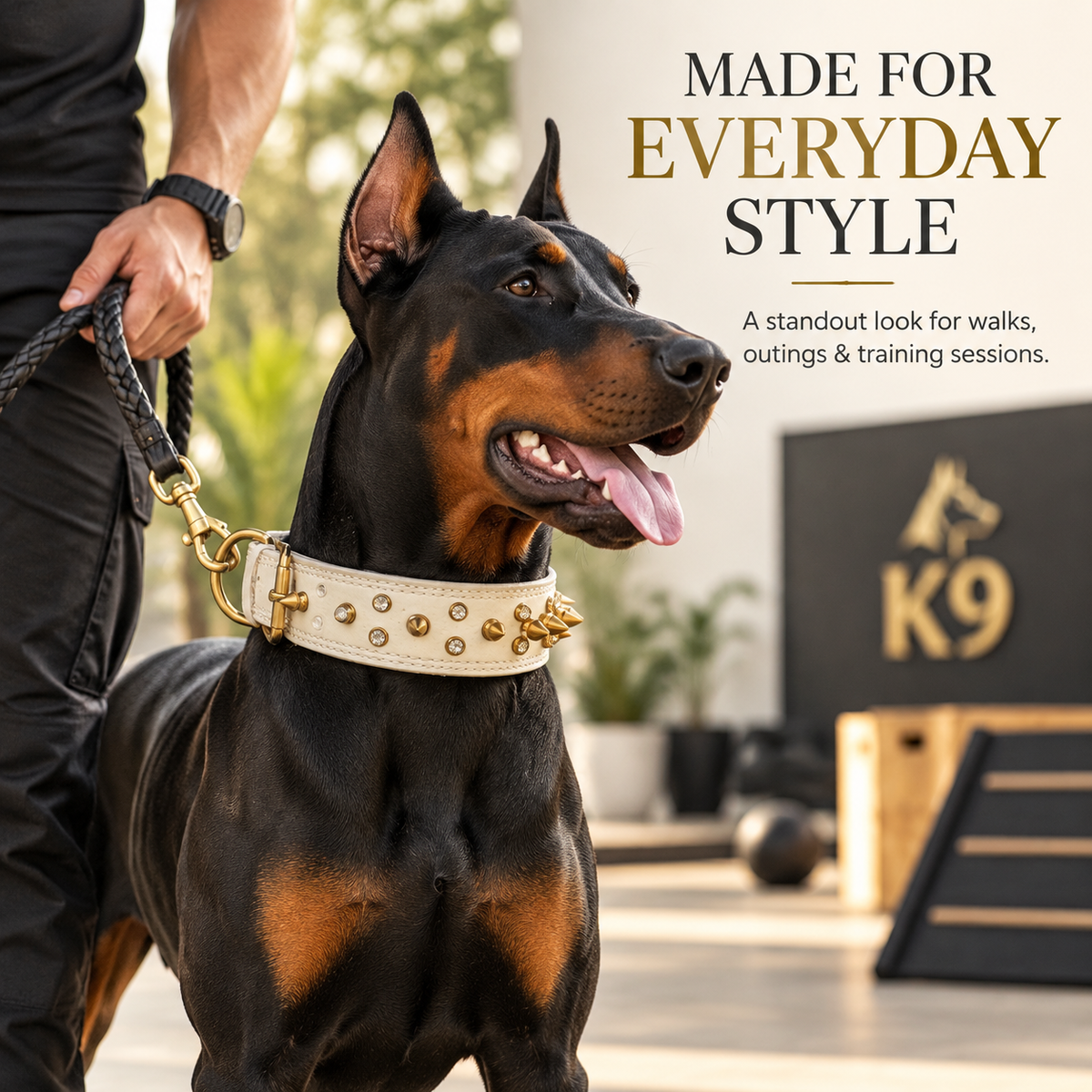 The K9 Store Premium Spiked Leather Designer Dog Collar – 100% Genuine Leather Gold Spikes with Brass Studs (Large & XL)