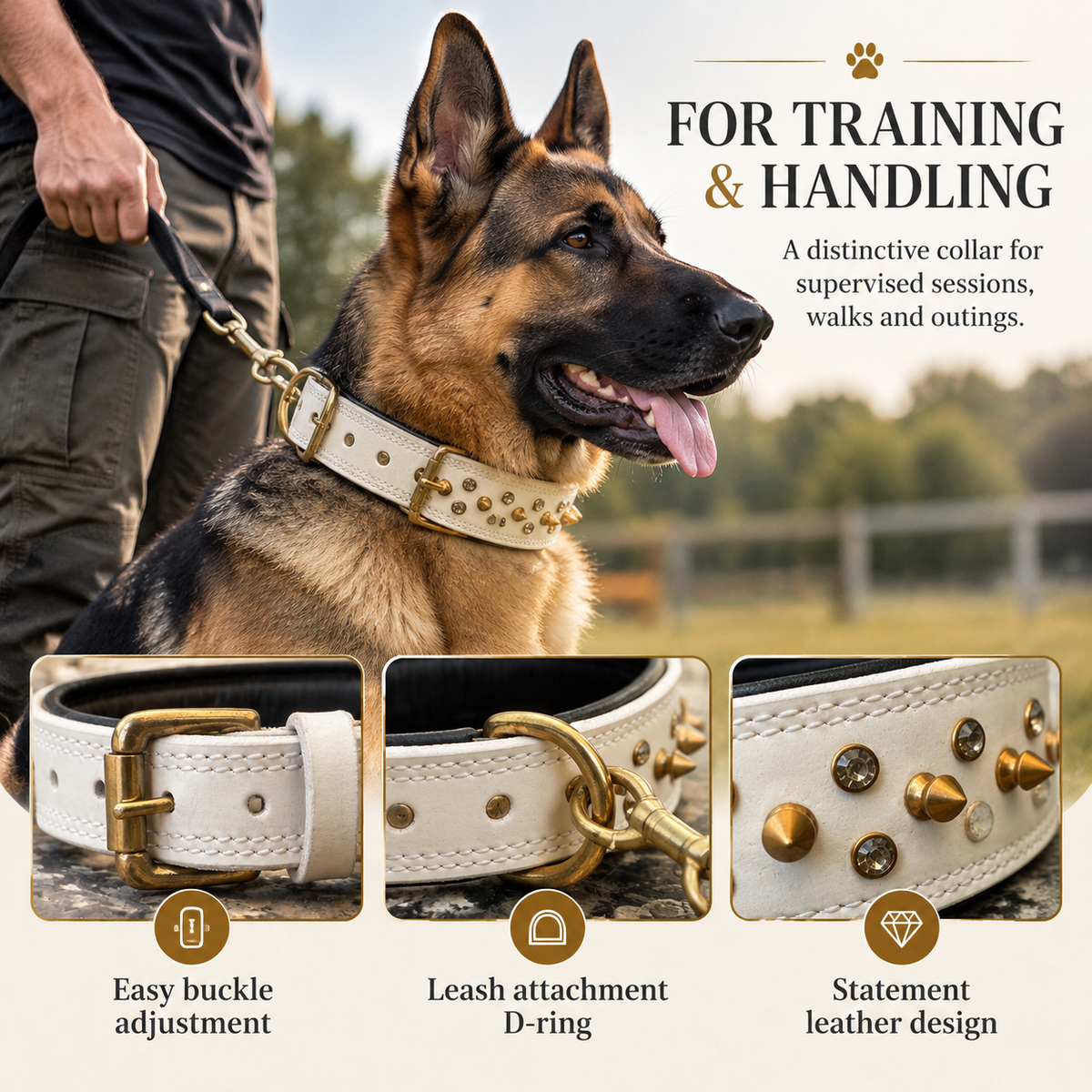 The K9 Store Premium Spiked Leather Designer Dog Collar – 100% Genuine Leather Gold Spikes with Brass Studs (Large & XL)