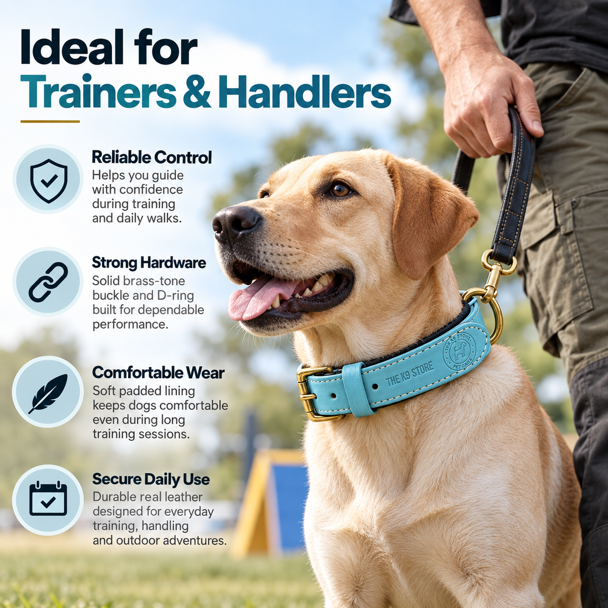 The K9 Store Sky Blue Premium Leather Dog Collar | Soft Cushioned Inner Lining | Brass-Tone Buckle & D-Ring | Reinforced Stitching | S, M, L & XL | The K9 Store