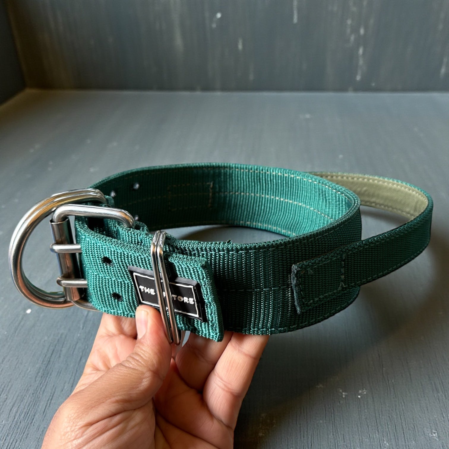 Heavy Duty Dog Collar with Control Handle – Large (16–22 Inch) Adjustable | Double D-Ring, Metal Buckle | The K9 Store Tactical Collar