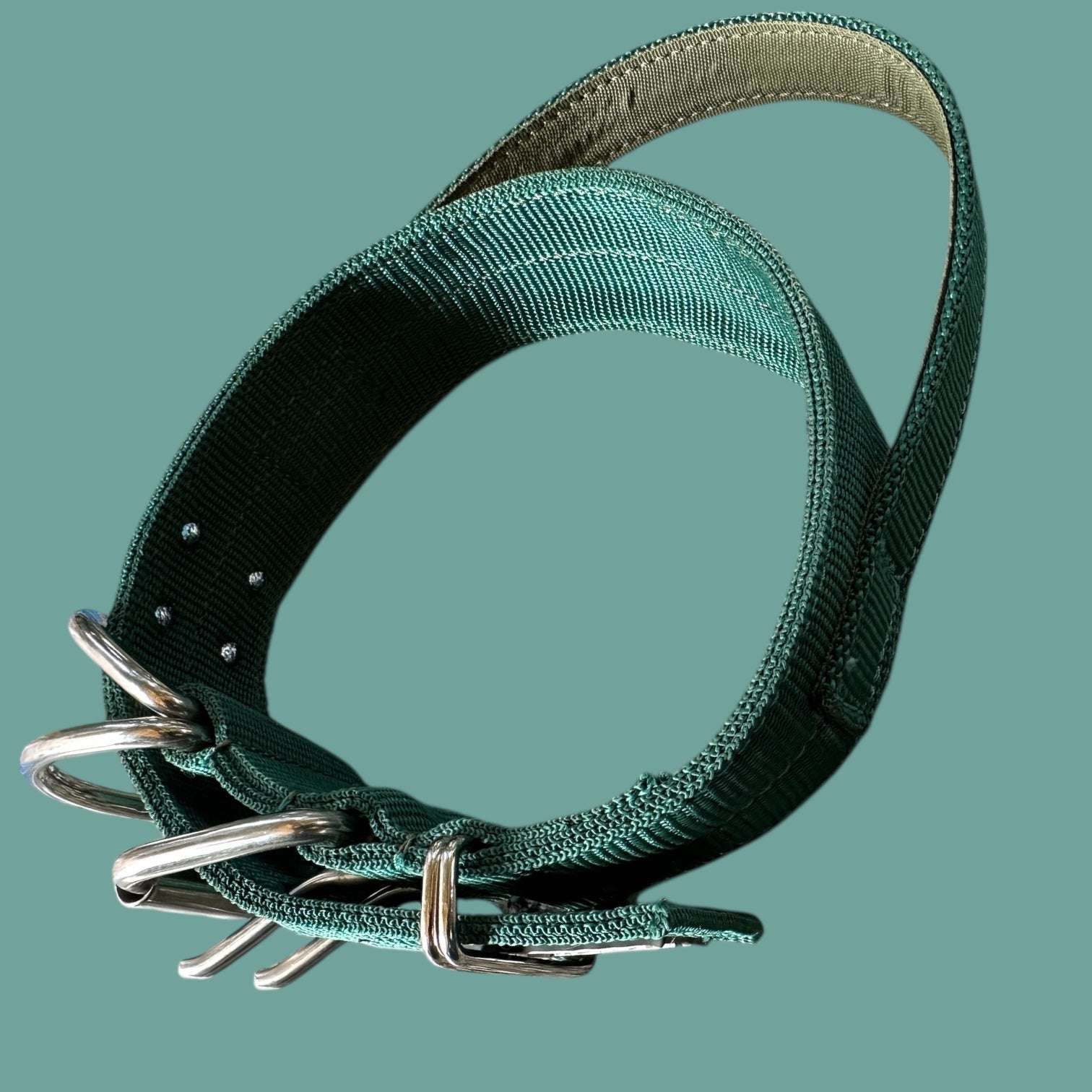 Heavy Duty Dog Collar with Control Handle – Large (16–22 Inch) Adjustable | Double D-Ring, Metal Buckle | The K9 Store Tactical Collar