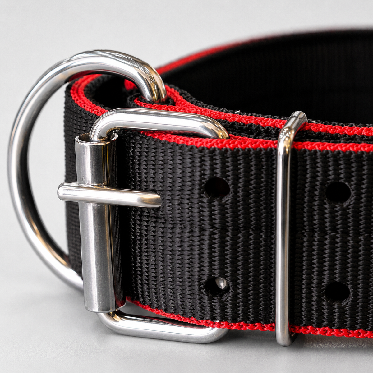 Heavy Duty Dog Collar | 2 Inch Wide Nylon | Twin D-Rings | Rust Resistant Hardware | Large & XL | Black/Red