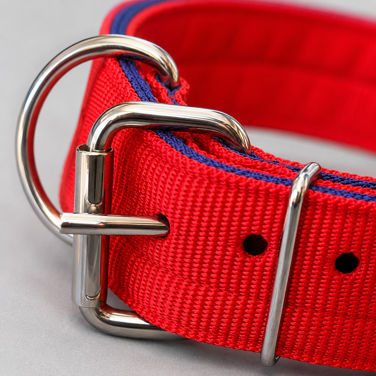 Heavy Duty Dog Collar | 2 Inch Wide Nylon | Twin D-Rings | Rust Resistant Hardware | Large & XL | Red/Blue