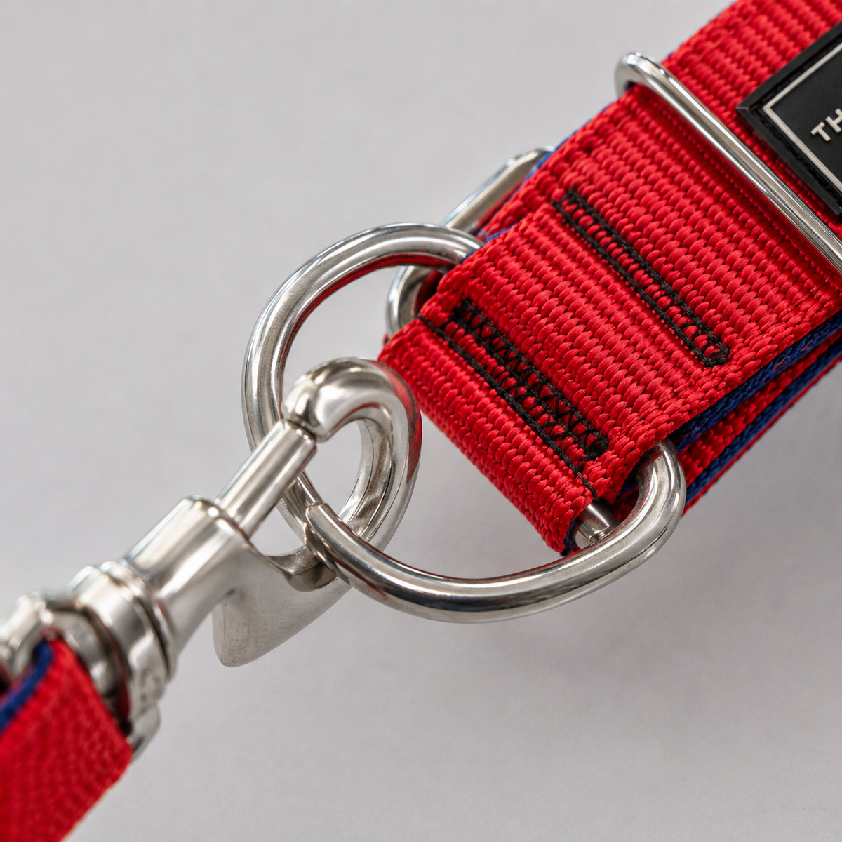 Heavy Duty Dog Collar | 2 Inch Wide Nylon | Twin D-Rings | Rust Resistant Hardware | Large & XL | Red/Blue