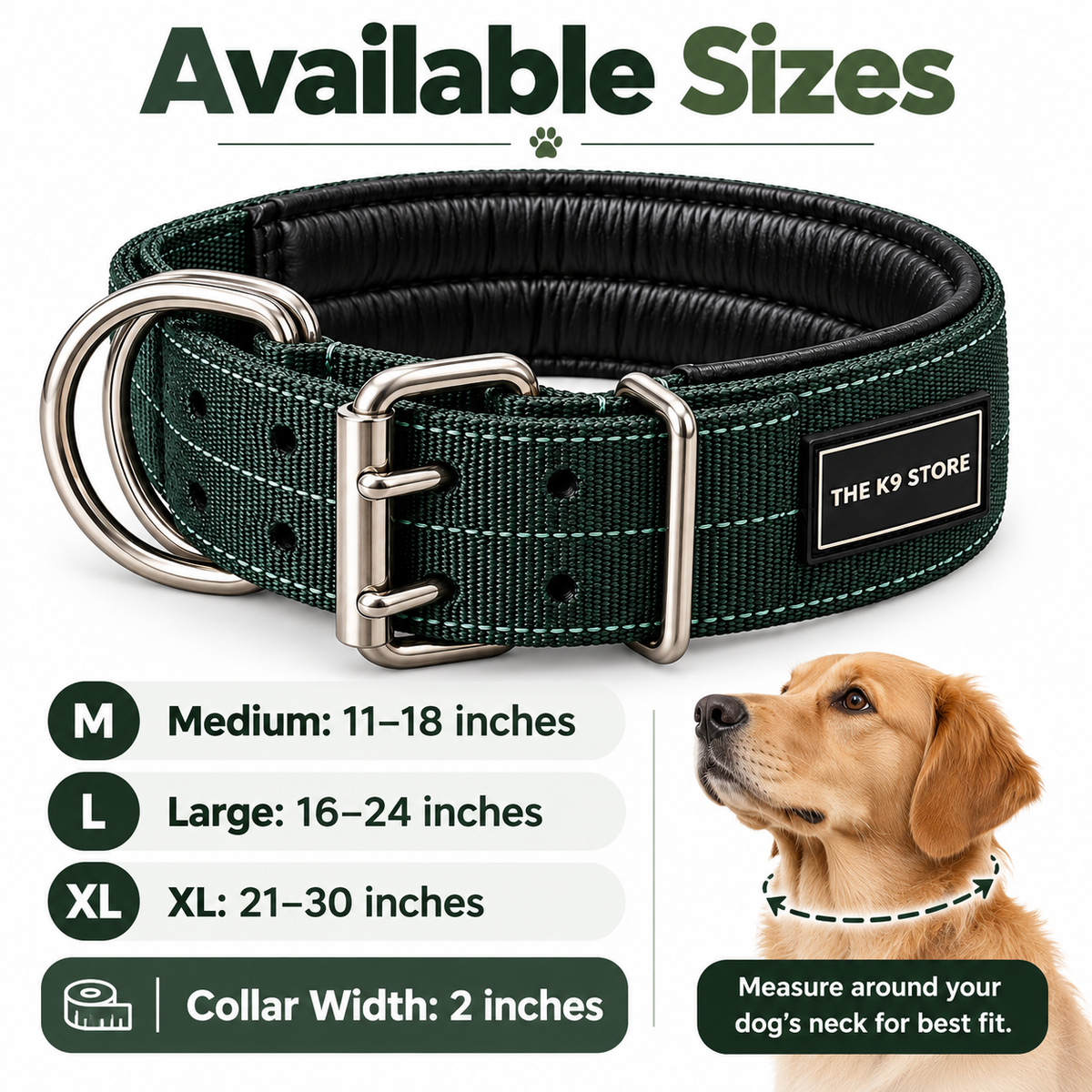 Premium Heavy-Duty Green Nylon Dog Collar with Soft Padding, 2-Inch Wide, Double D-Ring | The K9 Store