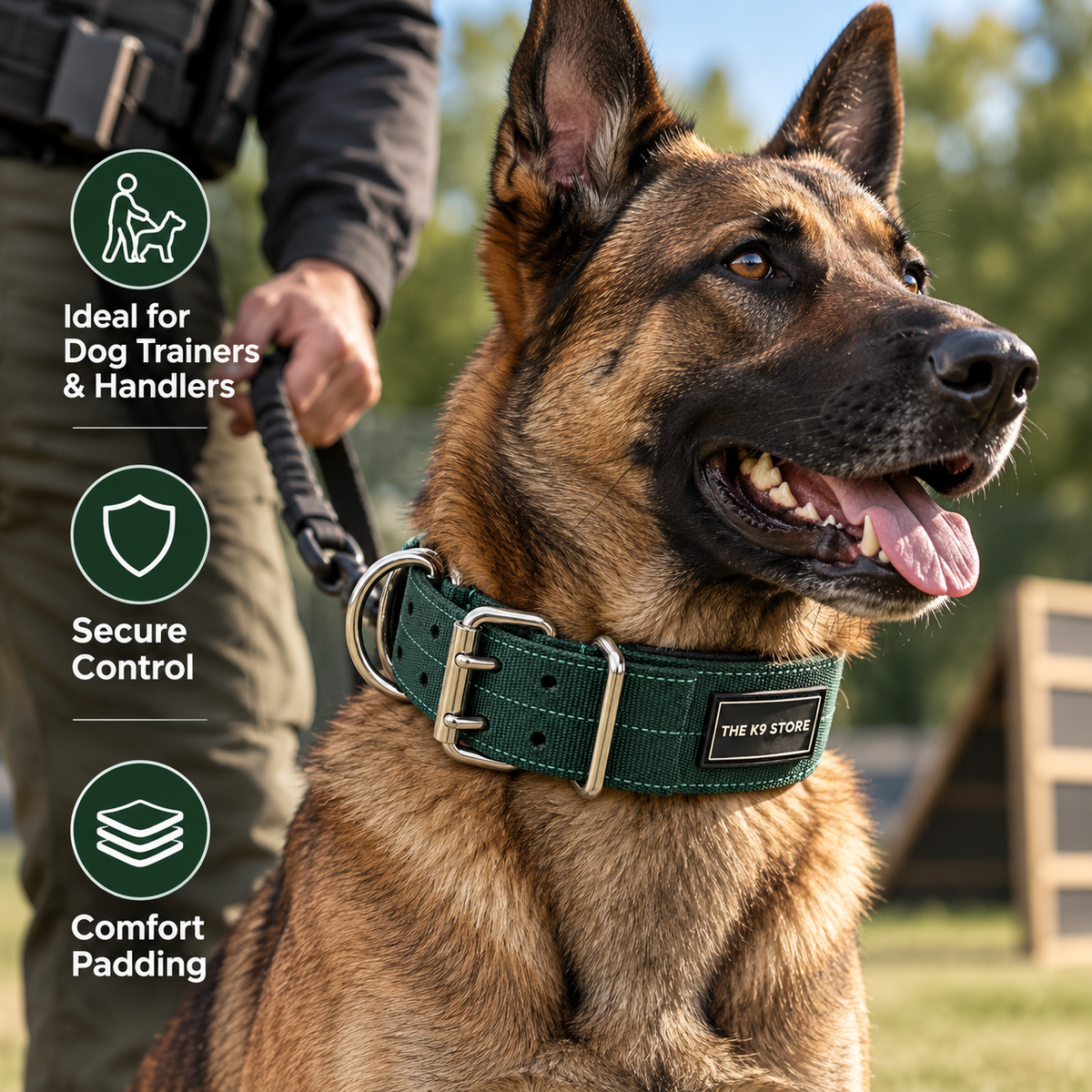 Premium Heavy-Duty Green Nylon Dog Collar with Soft Padding, 2-Inch Wide, Double D-Ring | The K9 Store