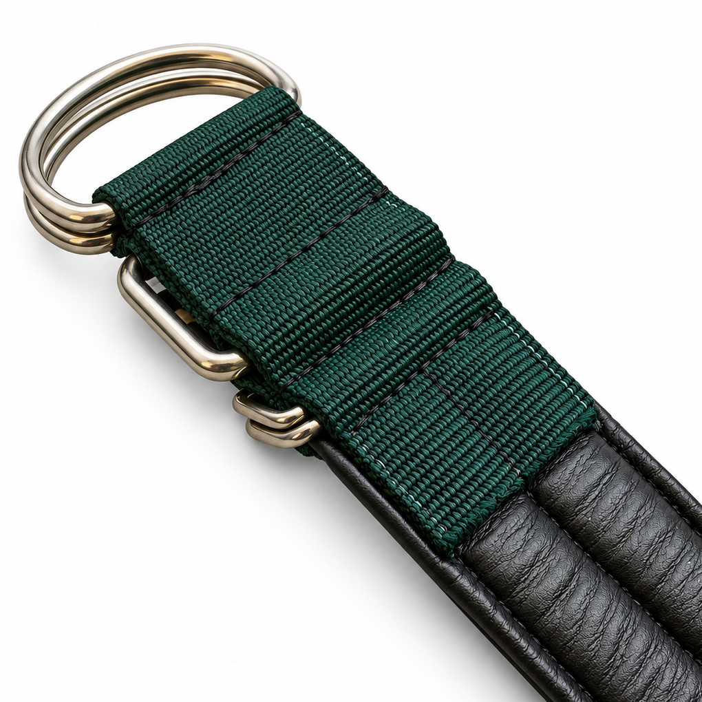 Premium Heavy-Duty Green Nylon Dog Collar with Soft Padding, 2-Inch Wide, Double D-Ring | The K9 Store