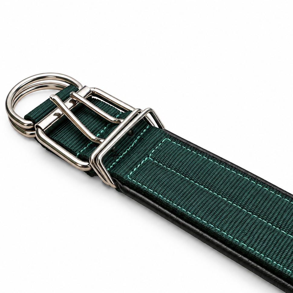 Premium Heavy-Duty Green Nylon Dog Collar with Soft Padding, 2-Inch Wide, Double D-Ring | The K9 Store