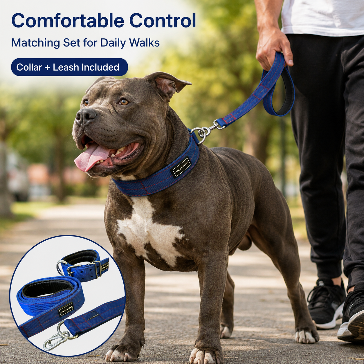 Heavy Duty Dog Collar & Leash Combo Set | 2 Inch Wide Padded | Double D-Ring | Fits 12-20 Inch Neck | Blue