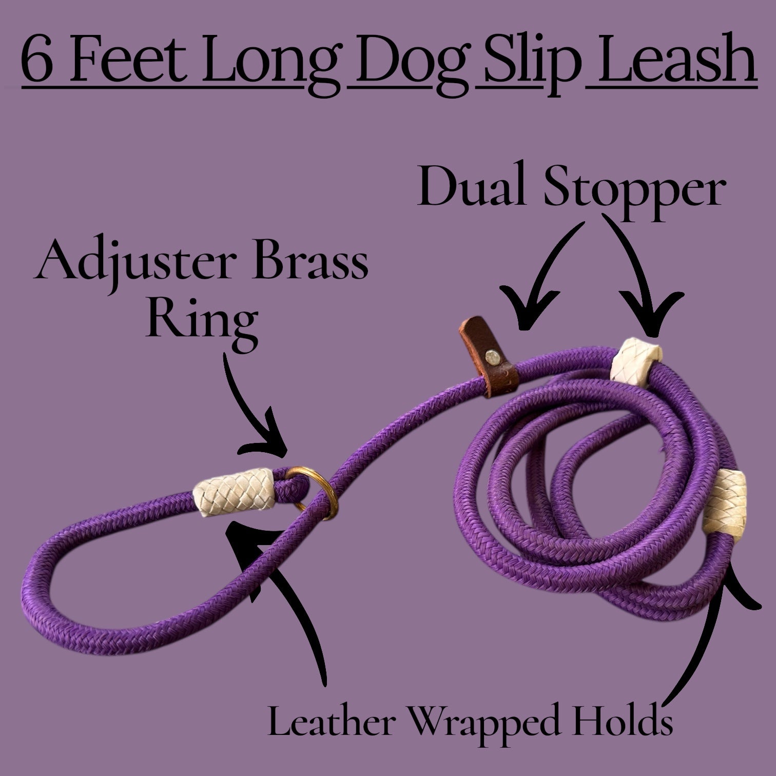 6 Ft Dog Slip Leash for Training – Adjustable Rope Lead with Brass Ring & Dual Stopper | Strong Braided Leash for Dogs (Purple)