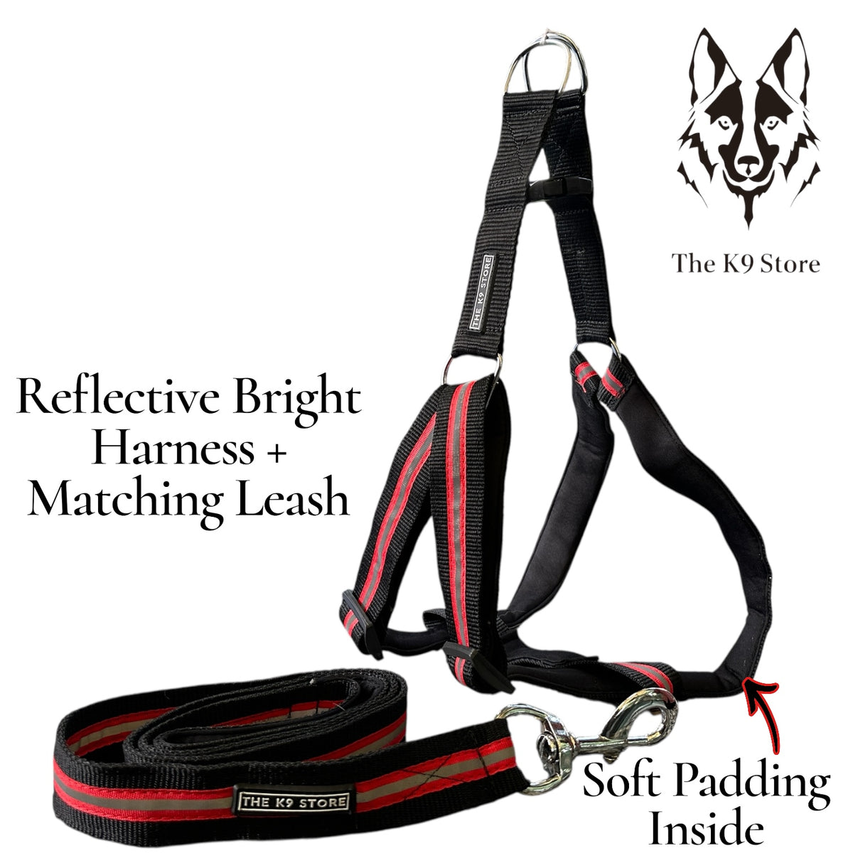 Reflective Dog Harness with Leash Combo | No-Pull Padded Dog Chest Harness | Adjustable, Heavy-Duty, Glow-in-Dark Safety Harness for Night Walks