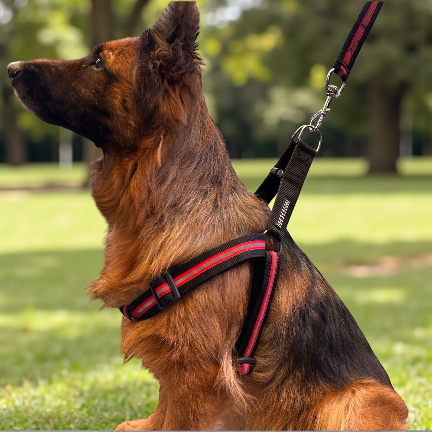 Reflective Dog Harness with Leash Combo | No-Pull Padded Dog Chest Harness | Adjustable, Heavy-Duty, Glow-in-Dark Safety Harness for Night Walks