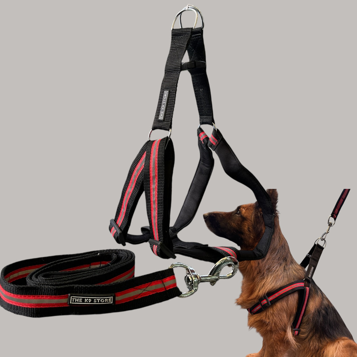 Reflective Dog Harness with Leash Combo | No-Pull Padded Dog Chest Harness | Adjustable, Heavy-Duty, Glow-in-Dark Safety Harness for Night Walks