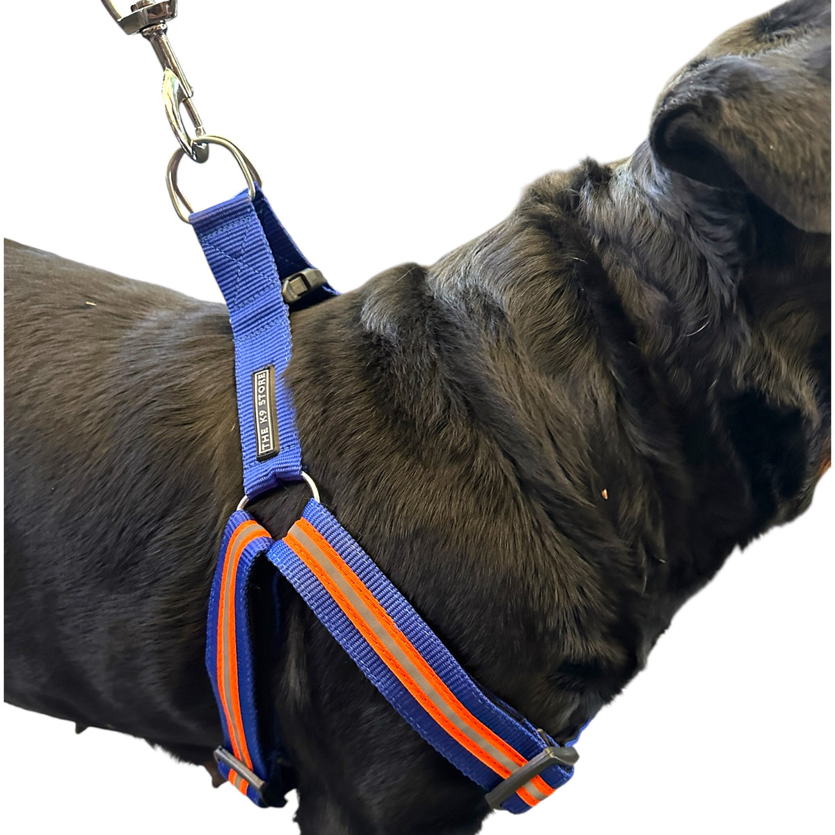 Reflective Dog Harness with Leash Combo | No-Pull Padded Dog Chest Harness | Adjustable, Heavy-Duty, Glow-in-Dark Safety Harness for Night Walks