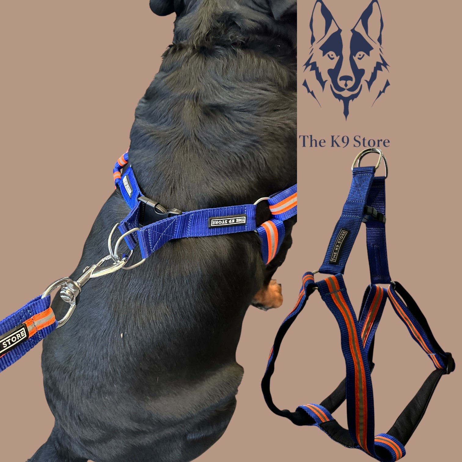 Reflective Dog Harness with Leash Combo | No-Pull Padded Dog Chest Harness | Adjustable, Heavy-Duty, Glow-in-Dark Safety Harness for Night Walks