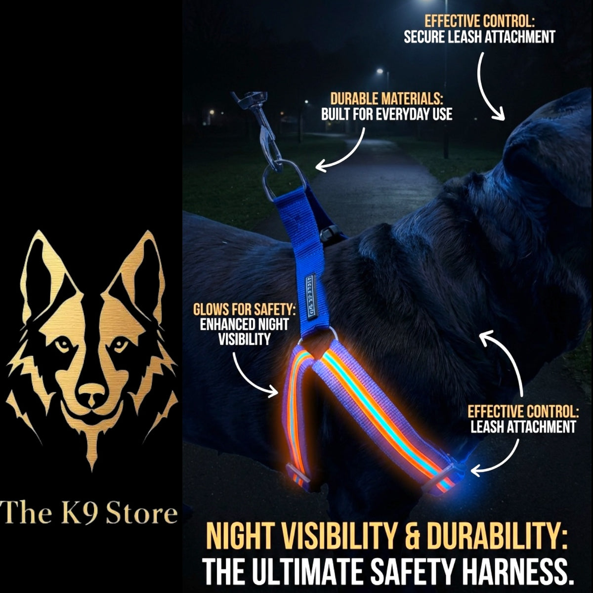Reflective Dog Harness with Leash Combo | No-Pull Padded Dog Chest Harness | Adjustable, Heavy-Duty, Glow-in-Dark Safety Harness for Night Walks