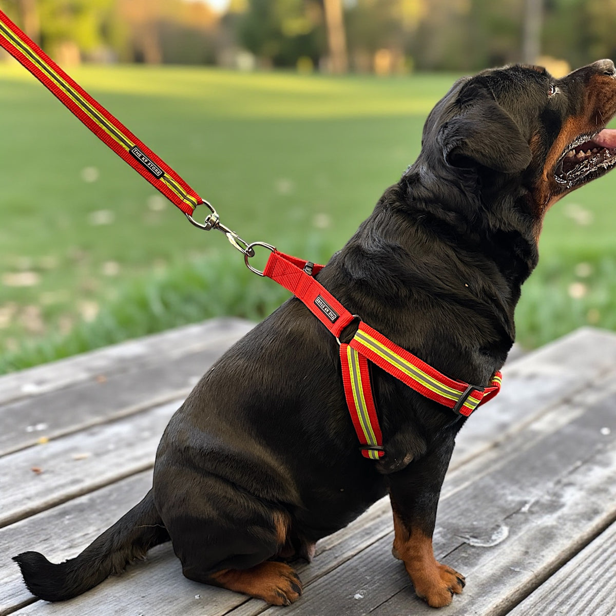 Reflective Dog Harness with Matching Leash - High Durability, Soft Padding & Glowing for Night Safety | The K9 Store