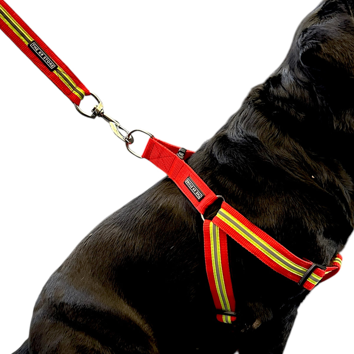 Reflective Dog Harness with Matching Leash - High Durability, Soft Padding & Glowing for Night Safety | The K9 Store