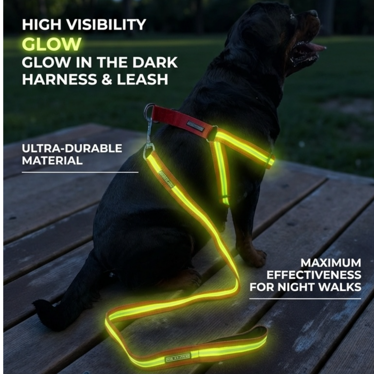 Reflective Dog Harness with Matching Leash - High Durability, Soft Padding & Glowing for Night Safety | The K9 Store