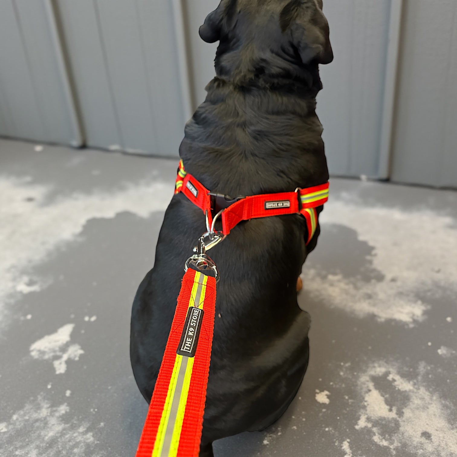 Reflective Dog Harness with Matching Leash - High Durability, Soft Padding & Glowing for Night Safety | The K9 Store