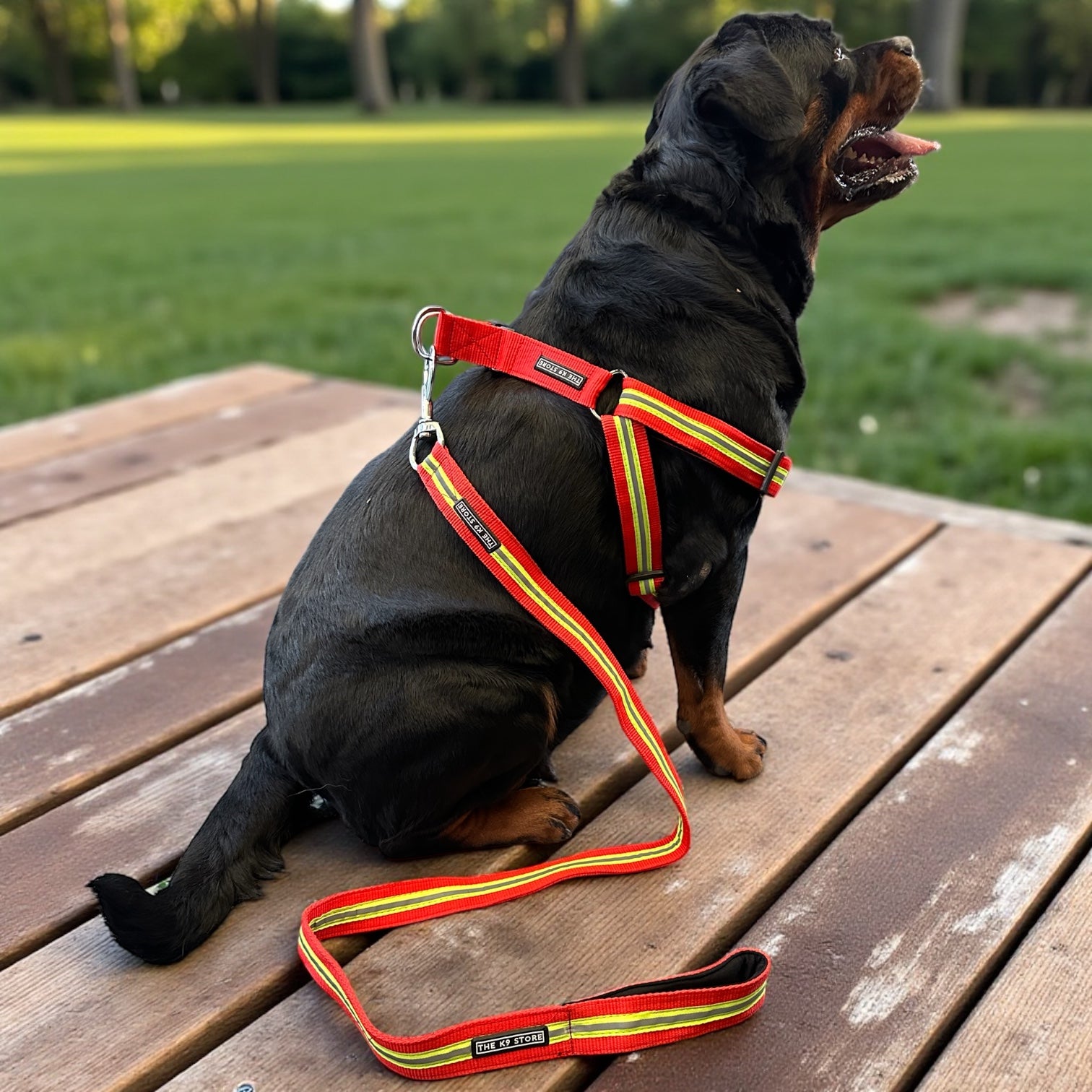 Reflective Dog Harness with Matching Leash - High Durability, Soft Padding & Glowing for Night Safety | The K9 Store