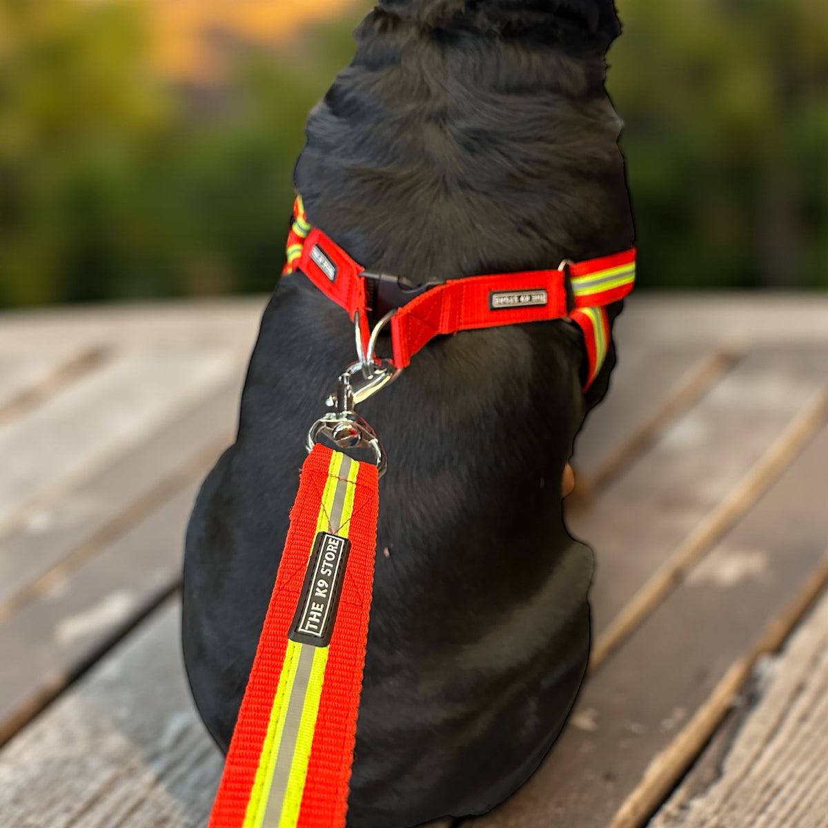 Reflective Dog Harness with Matching Leash - High Durability, Soft Padding & Glowing for Night Safety | The K9 Store