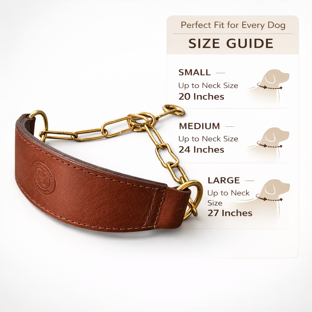 Premium Leather Dog Show Collar with Brass Chain Adjustable Training Collar Double Padded Comfortable Heavy Duty Pet Collar for Small Medium Large Dogs
