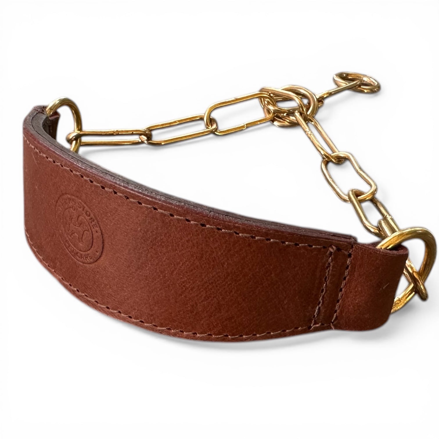 Premium Leather Dog Show Collar with Brass Chain Adjustable Training Collar Double Padded Comfortable Heavy Duty Pet Collar for Small Medium Large Dogs