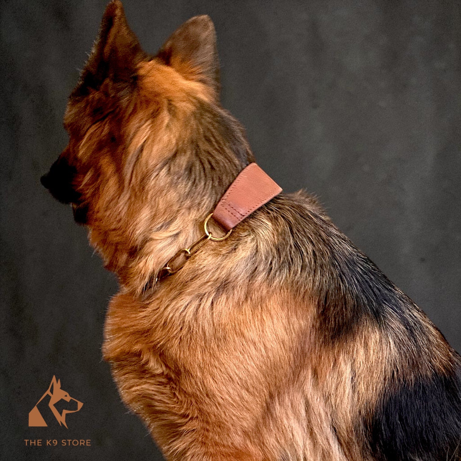 Premium Leather Dog Show Collar with Brass Chain Adjustable Training Collar Double Padded Comfortable Heavy Duty Pet Collar for Small Medium Large Dogs