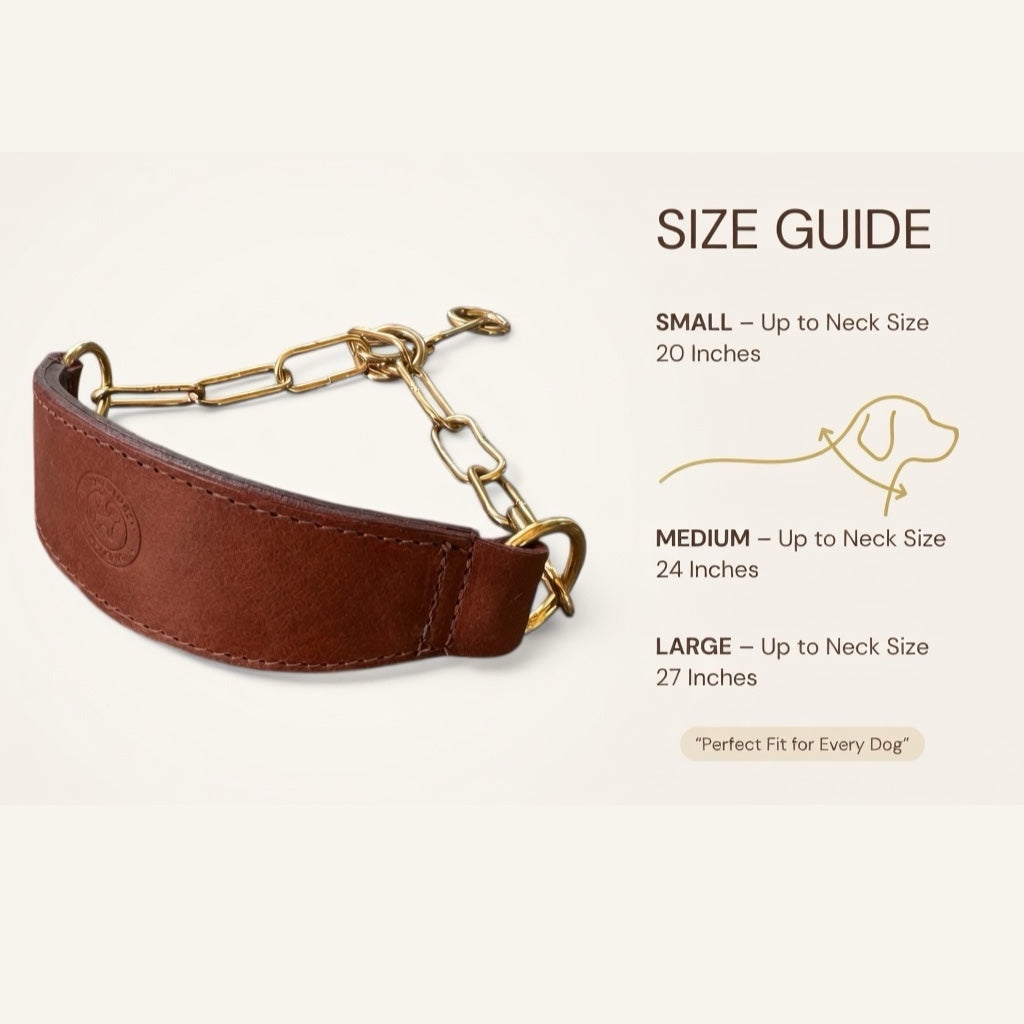 Premium Leather Dog Show Collar with Brass Chain Adjustable Training Collar Double Padded Comfortable Heavy Duty Pet Collar for Small Medium Large Dogs