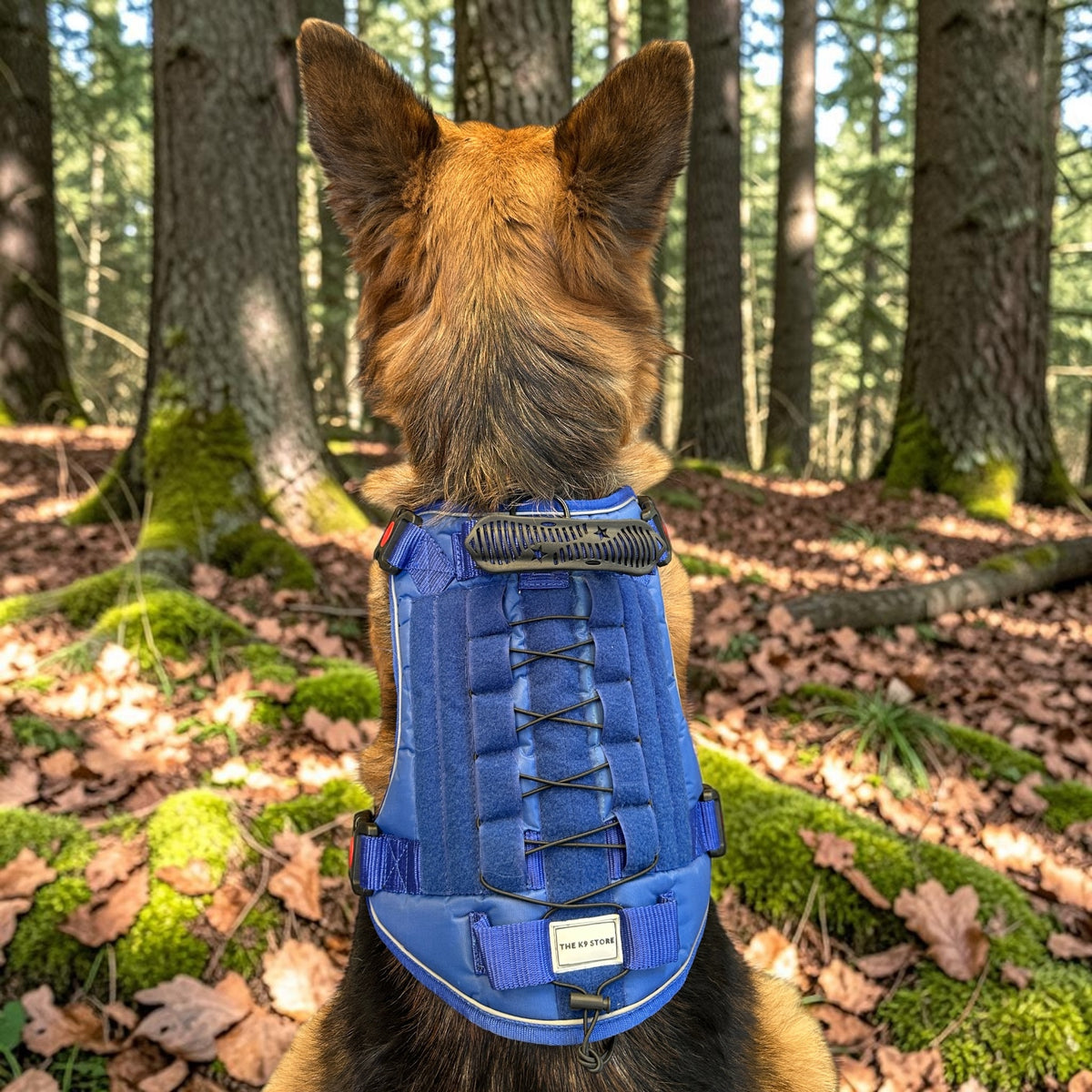 THE K9 STORE Tactical Dog Harness Blue – No Pull Heavy Duty Adjustable Pet Harness with Handle, MOLLE System & Reflective Straps (S–XL)