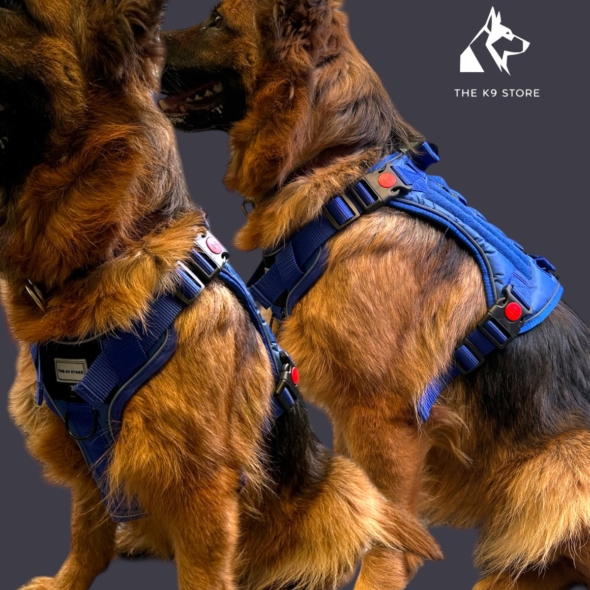 THE K9 STORE Tactical Dog Harness Blue – No Pull Heavy Duty Adjustable Pet Harness with Handle, MOLLE System & Reflective Straps (S–XL)