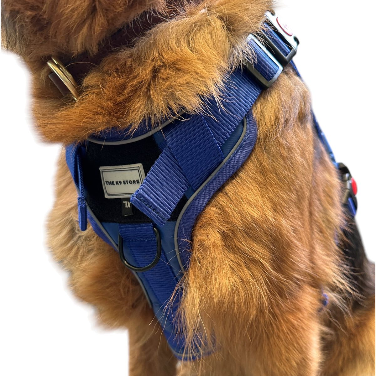 THE K9 STORE Tactical Dog Harness Blue – No Pull Heavy Duty Adjustable Pet Harness with Handle, MOLLE System & Reflective Straps (S–XL)