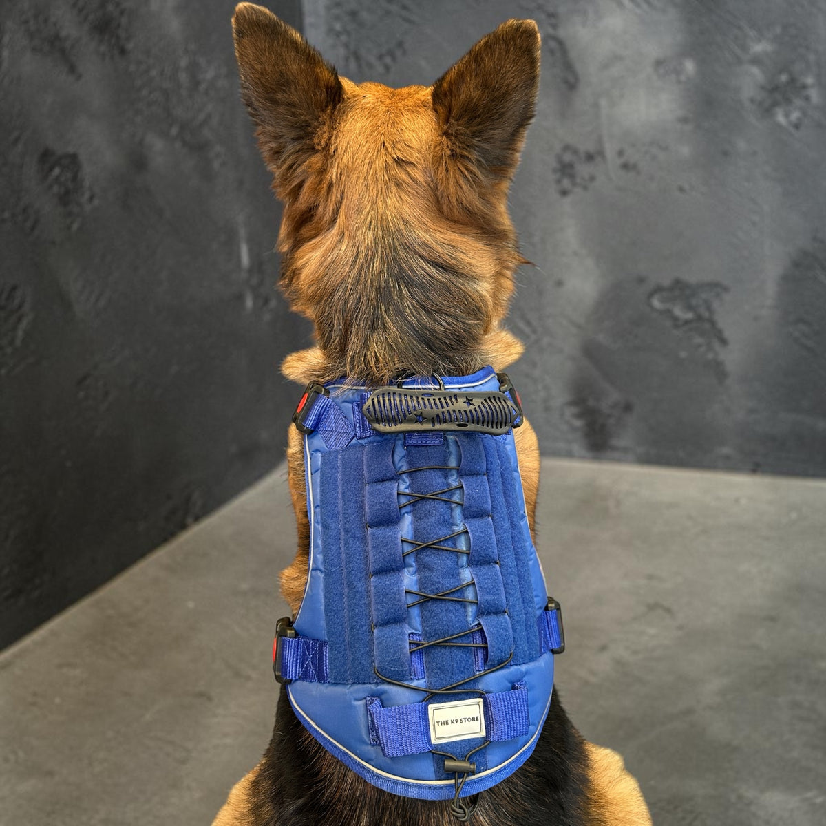 THE K9 STORE Tactical Dog Harness Blue – No Pull Heavy Duty Adjustable Pet Harness with Handle, MOLLE System & Reflective Straps (S–XL)