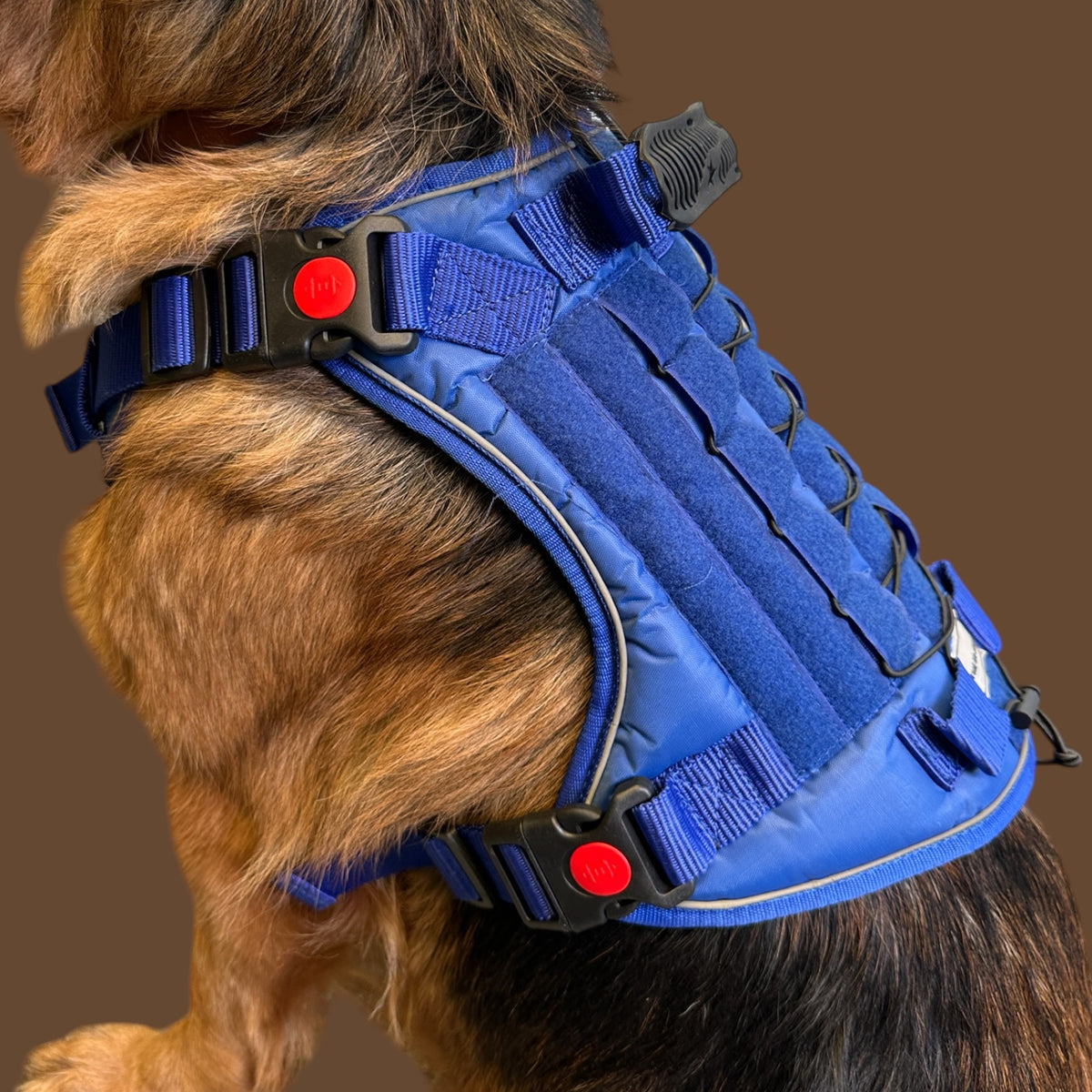 THE K9 STORE Tactical Dog Harness Blue – No Pull Heavy Duty Adjustable Pet Harness with Handle, MOLLE System & Reflective Straps (S–XL)