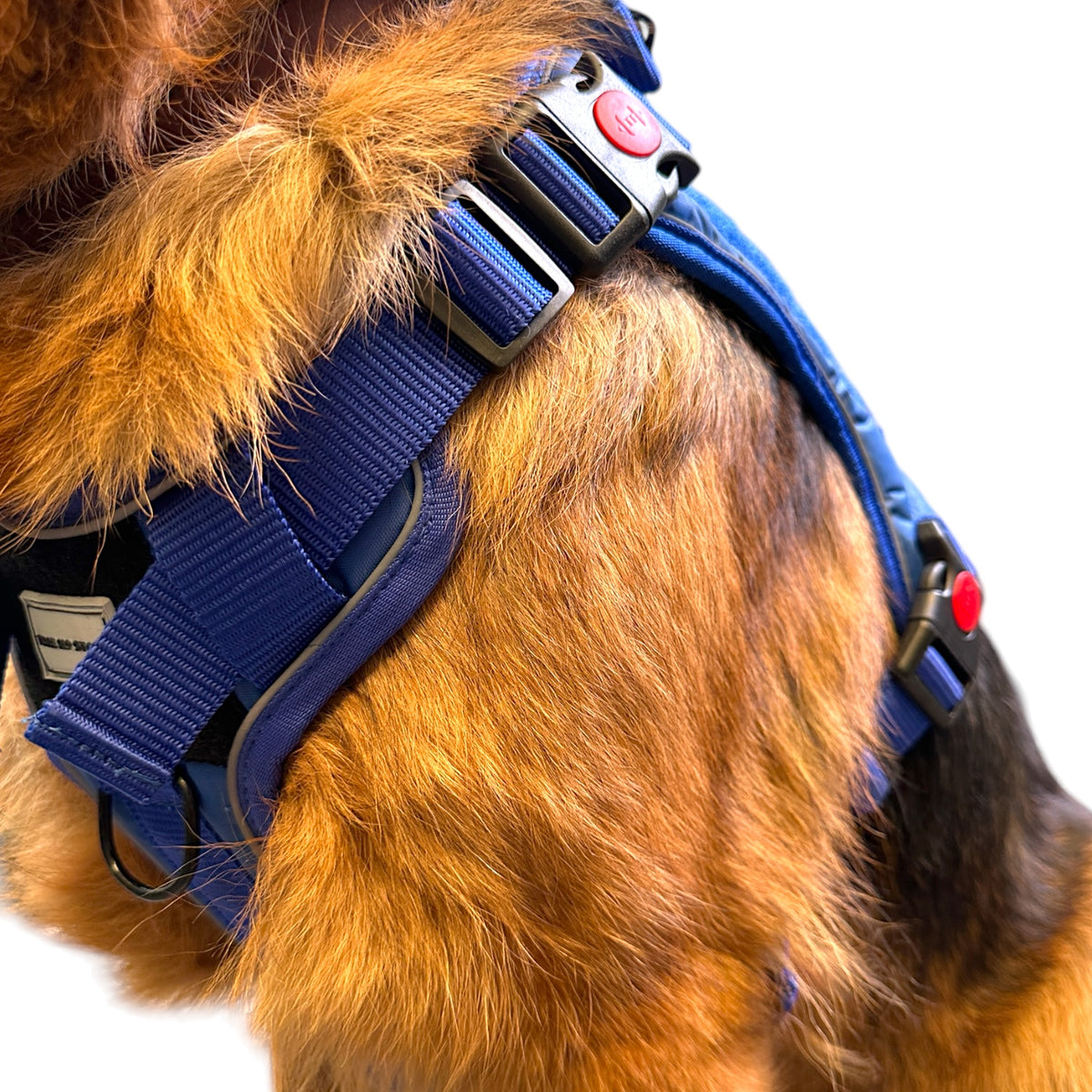 THE K9 STORE Tactical Dog Harness Blue – No Pull Heavy Duty Adjustable Pet Harness with Handle, MOLLE System & Reflective Straps (S–XL)