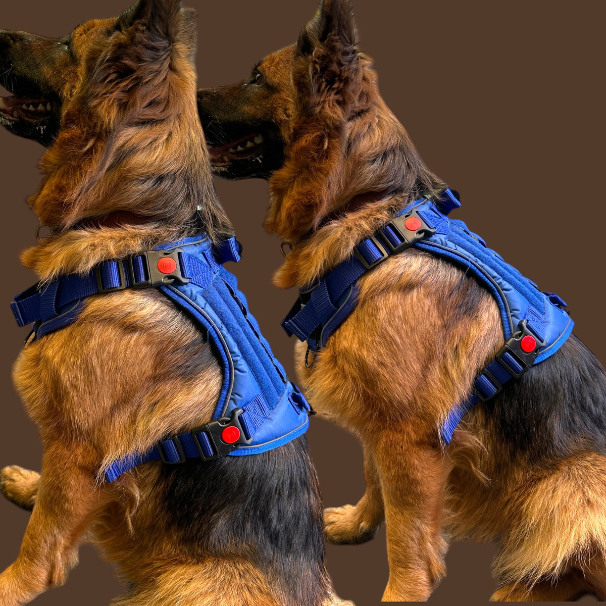 THE K9 STORE Tactical Dog Harness Blue – No Pull Heavy Duty Adjustable Pet Harness with Handle, MOLLE System & Reflective Straps (S–XL)