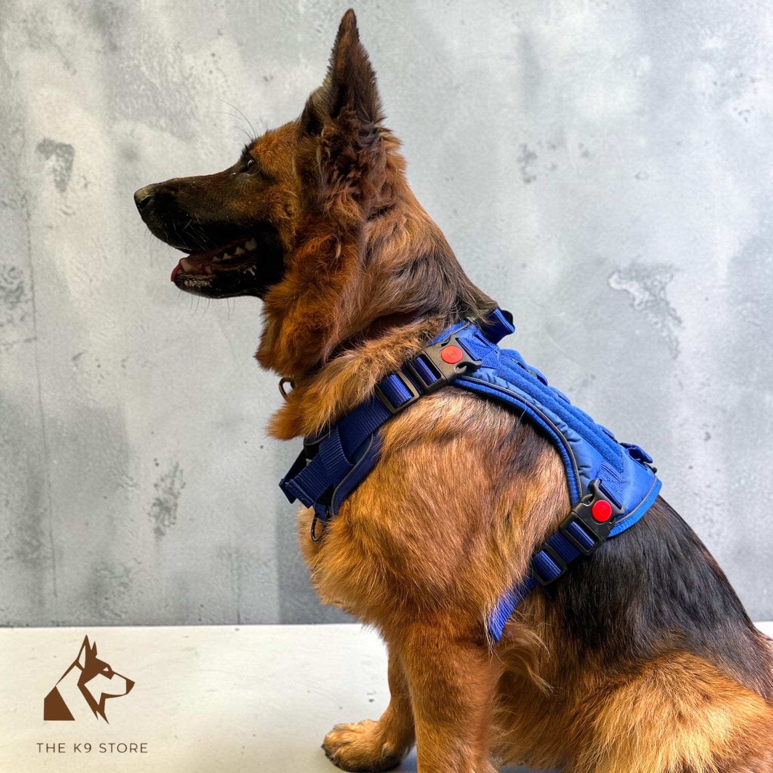 THE K9 STORE Tactical Dog Harness Blue – No Pull Heavy Duty Adjustable Pet Harness with Handle, MOLLE System & Reflective Straps (S–XL)