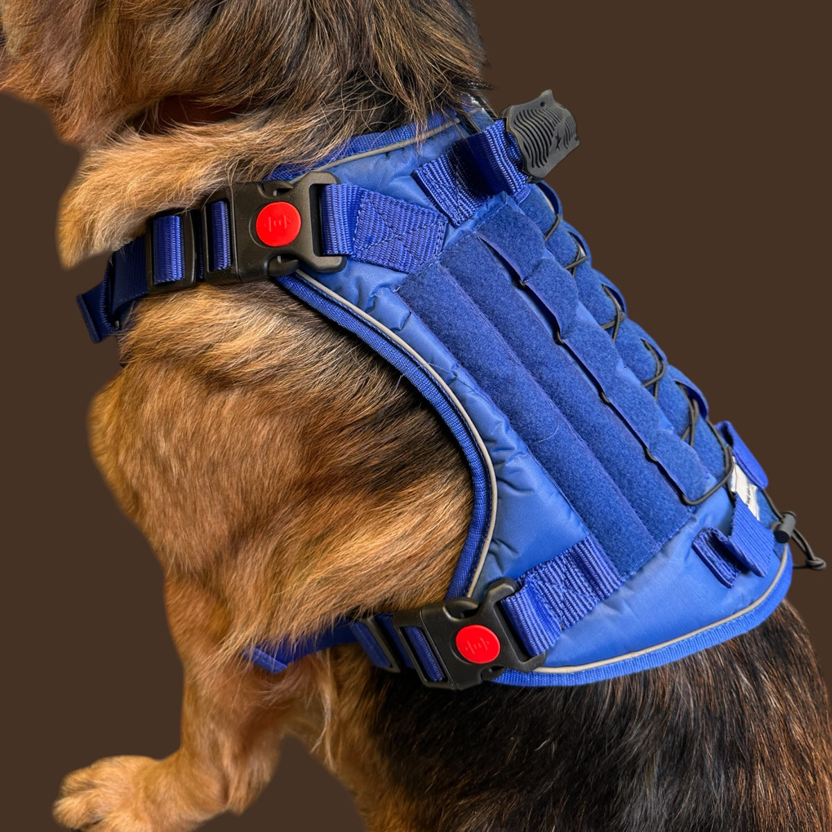 THE K9 STORE Tactical Dog Harness Blue – No Pull Heavy Duty Adjustable Pet Harness with Handle, MOLLE System & Reflective Straps (S–XL)
