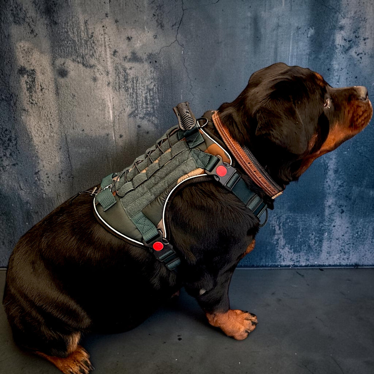 Tactical Dog Harness No Pull Adjustable Heavy Duty K9 Vest with Handle & Reflective Straps for Medium Large Dogs (S, M, L, XL)