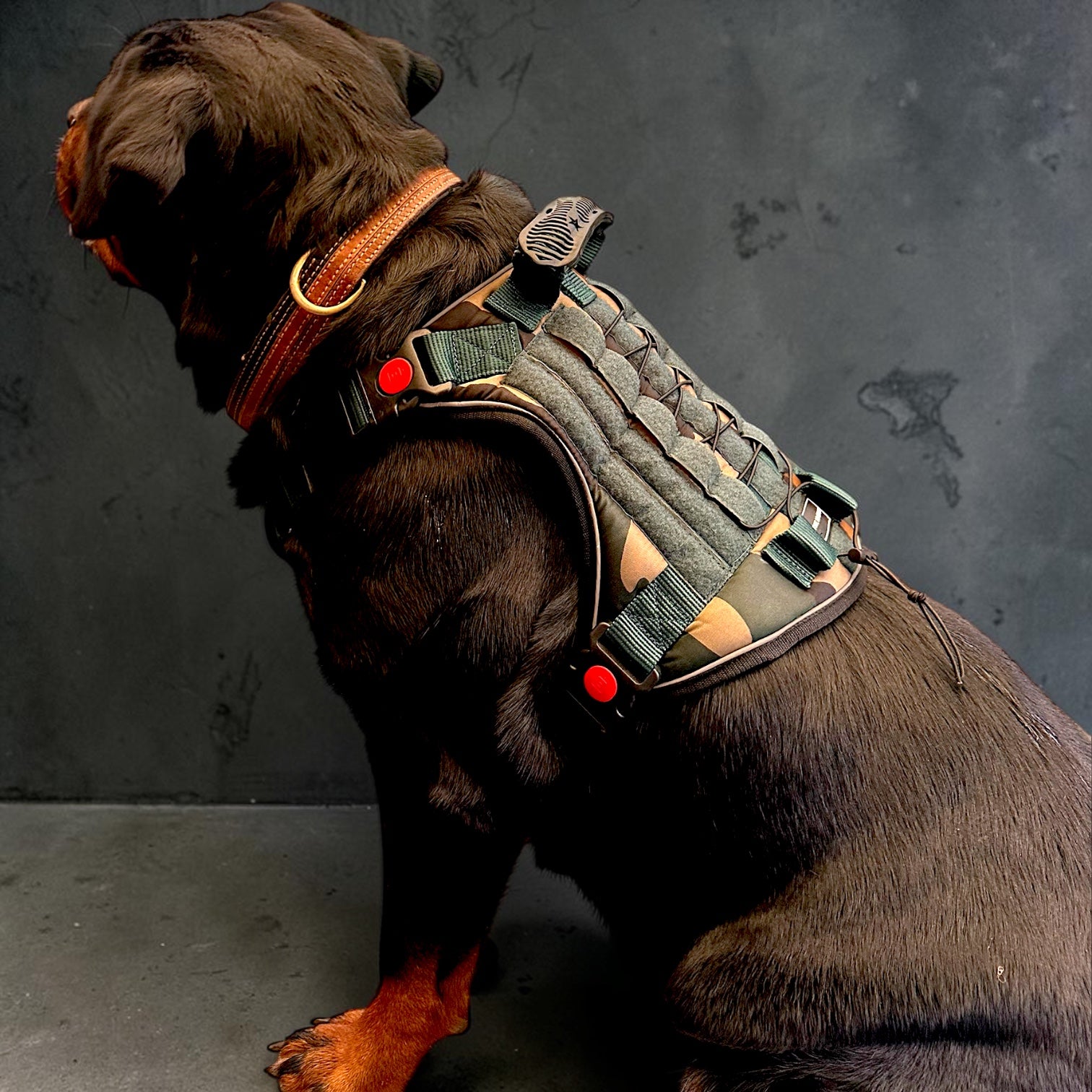 Tactical Dog Harness No Pull Adjustable Heavy Duty K9 Vest with Handle & Reflective Straps for Medium Large Dogs (S, M, L, XL)