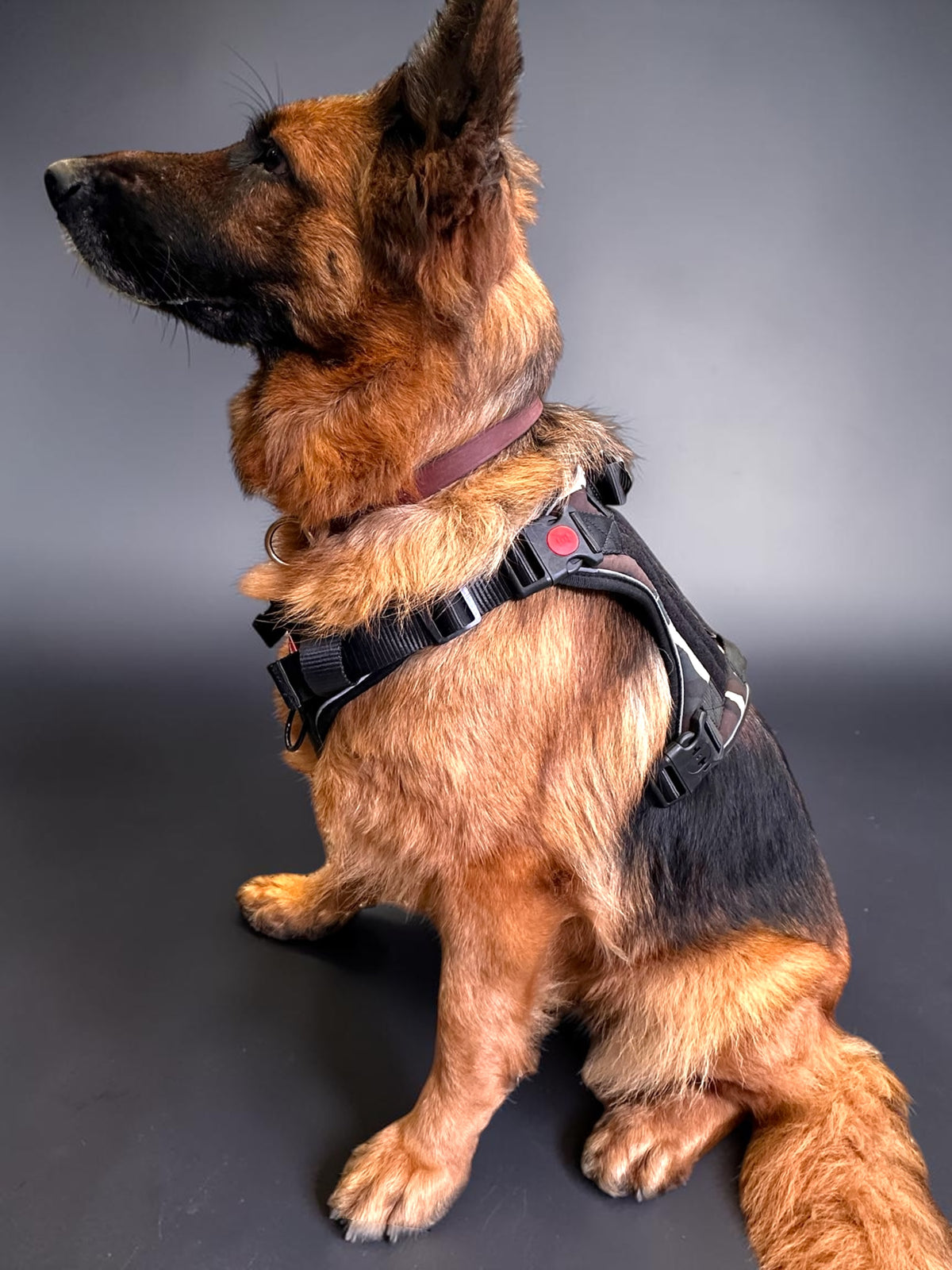 Tactical Dog Harness No Pull Adjustable Heavy Duty K9 Vest with Handle & Reflective Straps for Medium Large Dogs (S, M, L, XL)