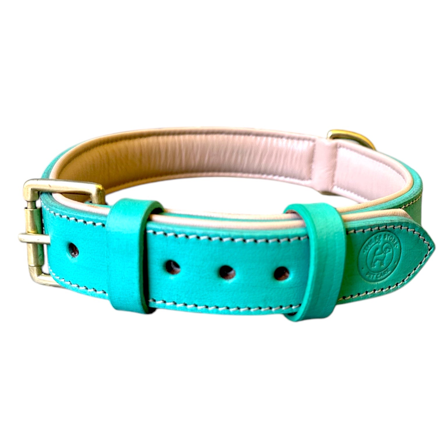 The K9 Store 100% Highgrade Leather Colored Basic Dog Neck Collar (Green/Mint)