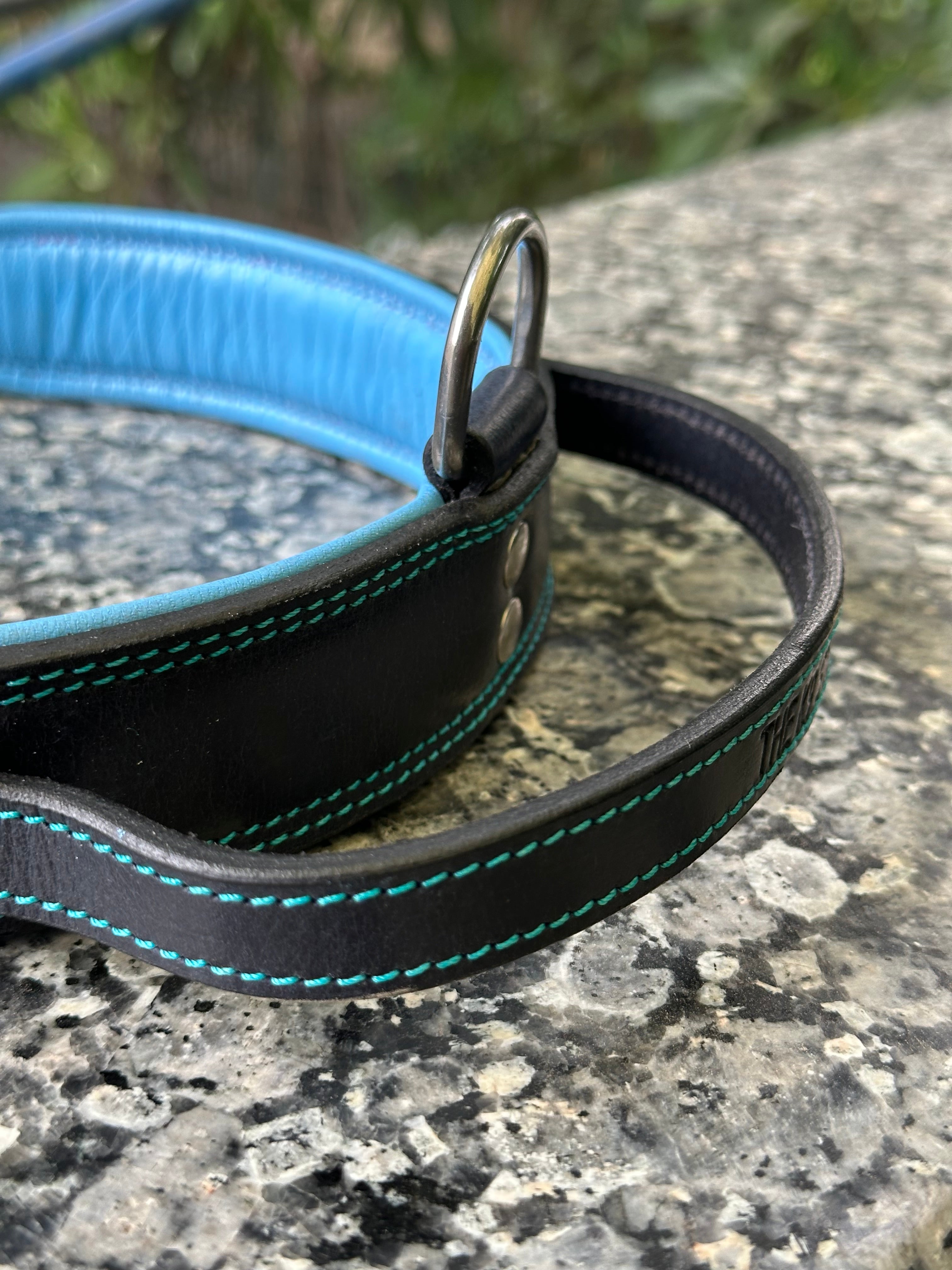 The K9 Store 100% Highgrade Leather Bold Dog Neck Collar For Training With Extra Handle - Zoey's Special B&B (Blue & Black Dual Tone)