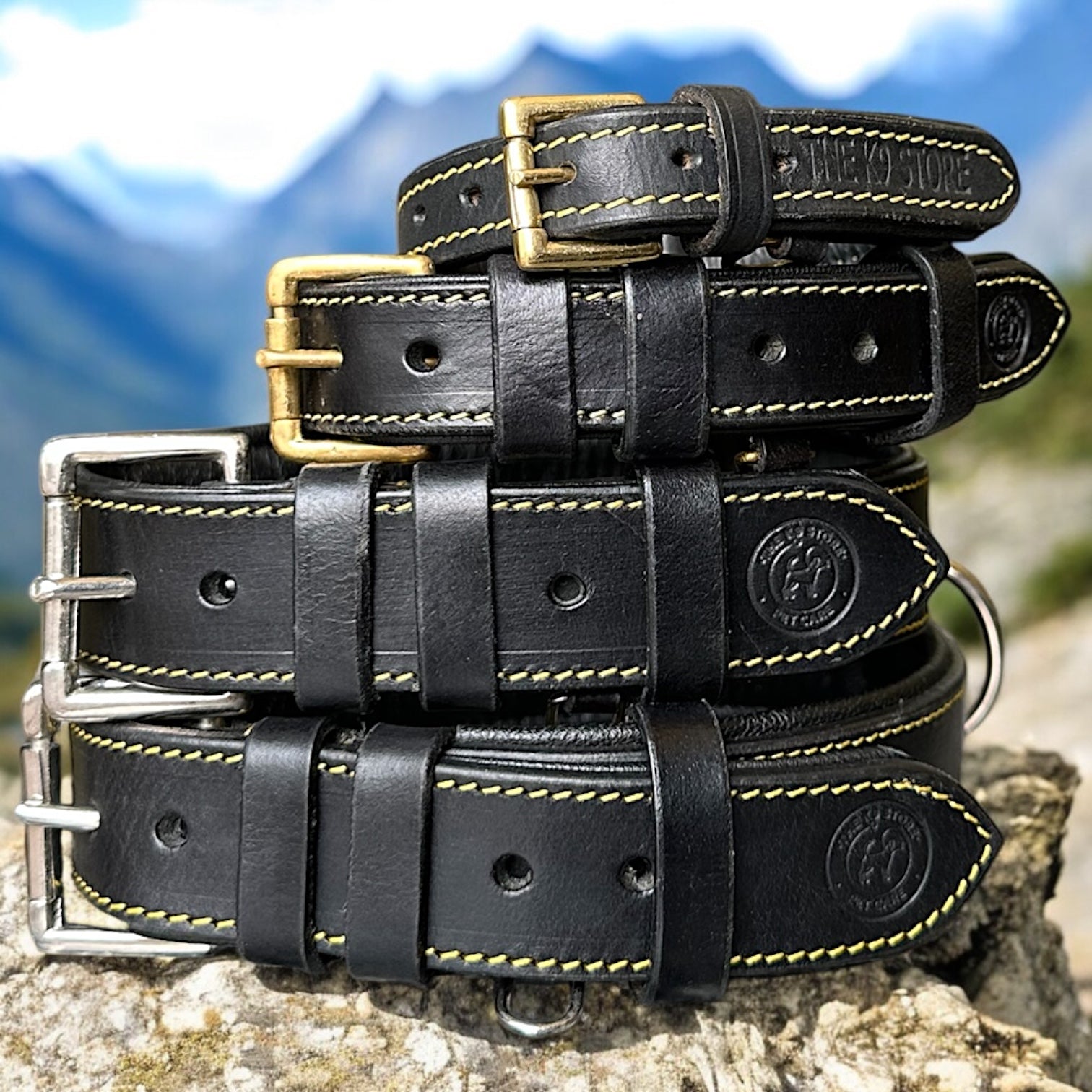 The K9 Store 100% Highgrade Leather Colored Basic Dog Neck Collar (Black)