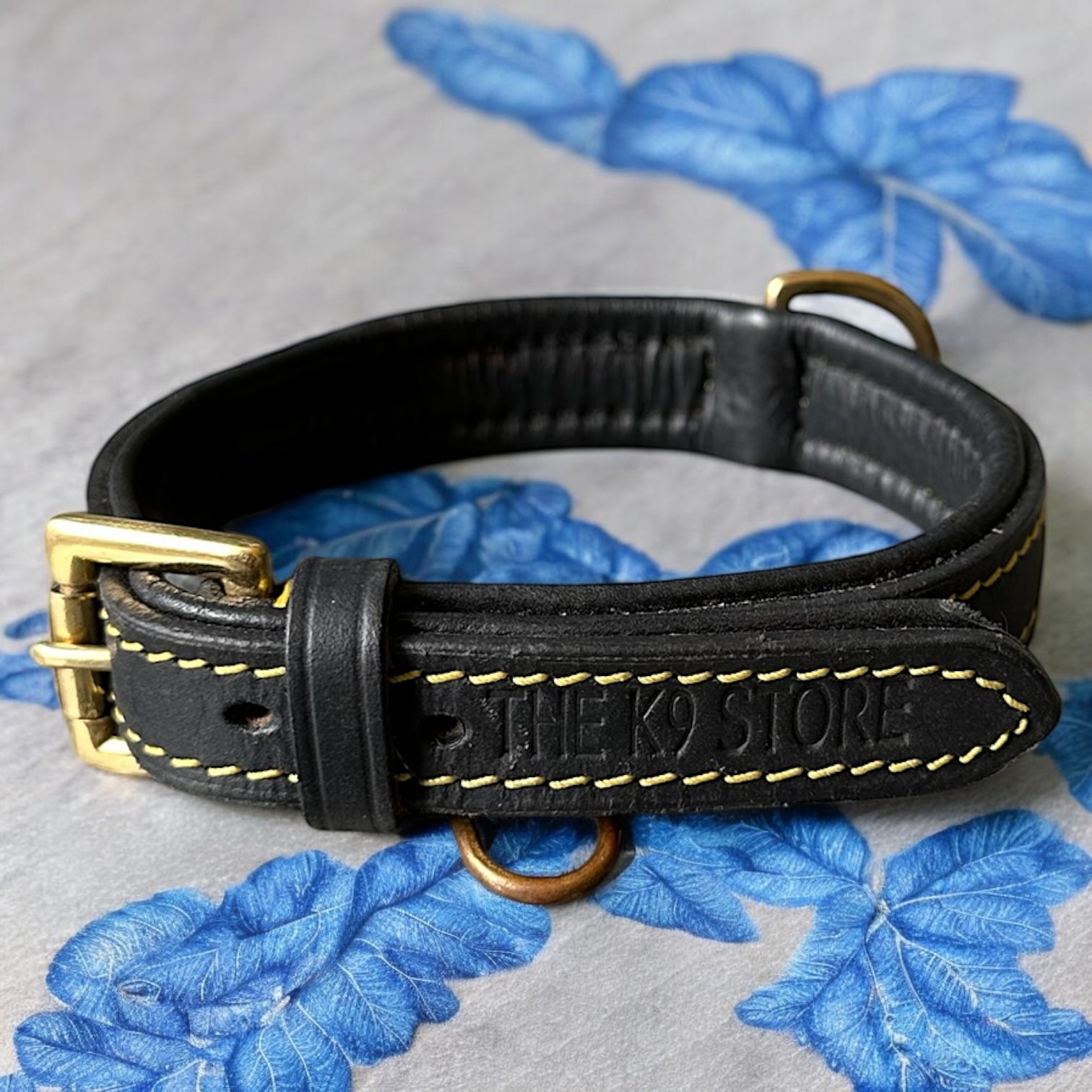 The K9 Store 100% Highgrade Leather Colored Basic Dog Neck Collar (Black)