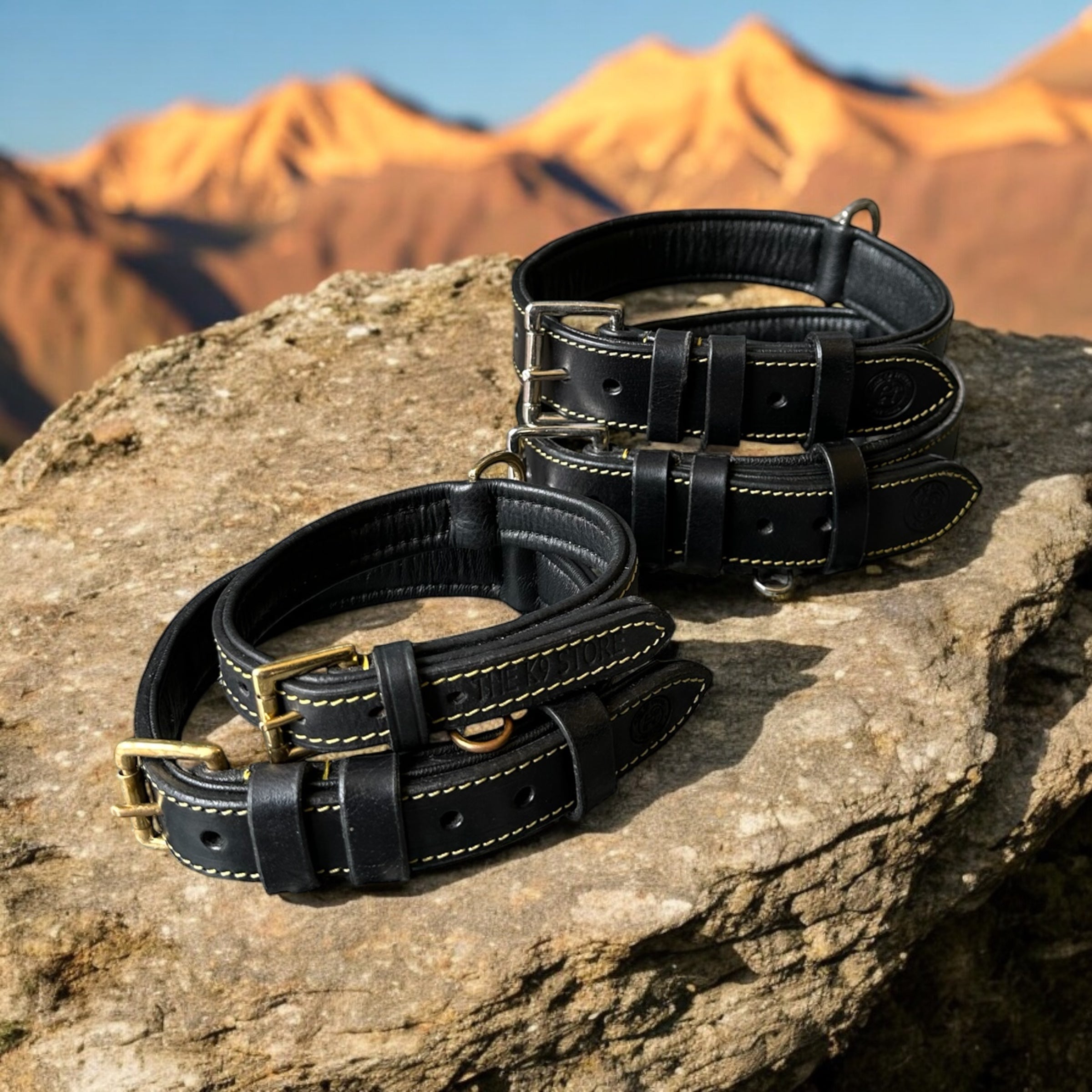 Highgrade Leather Colored Basic Dog Neck Collar Black
